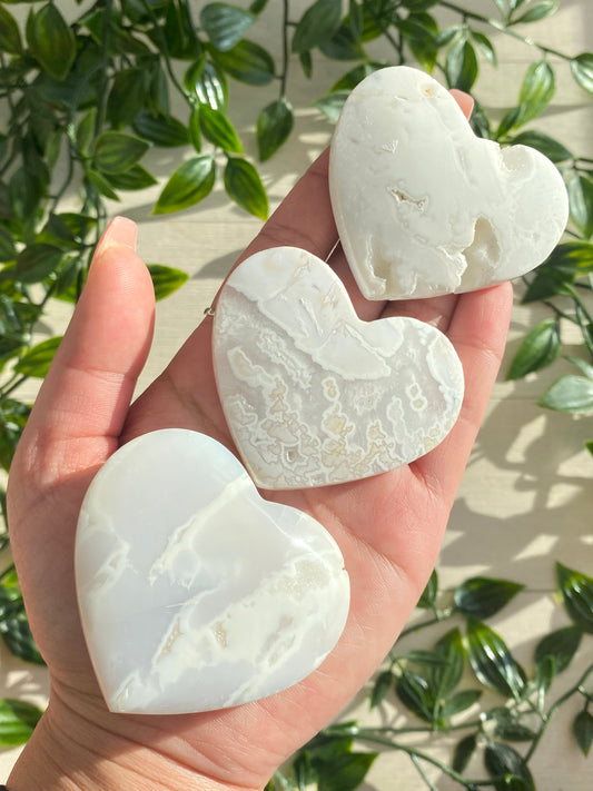 Snow Plume Agate Hearts