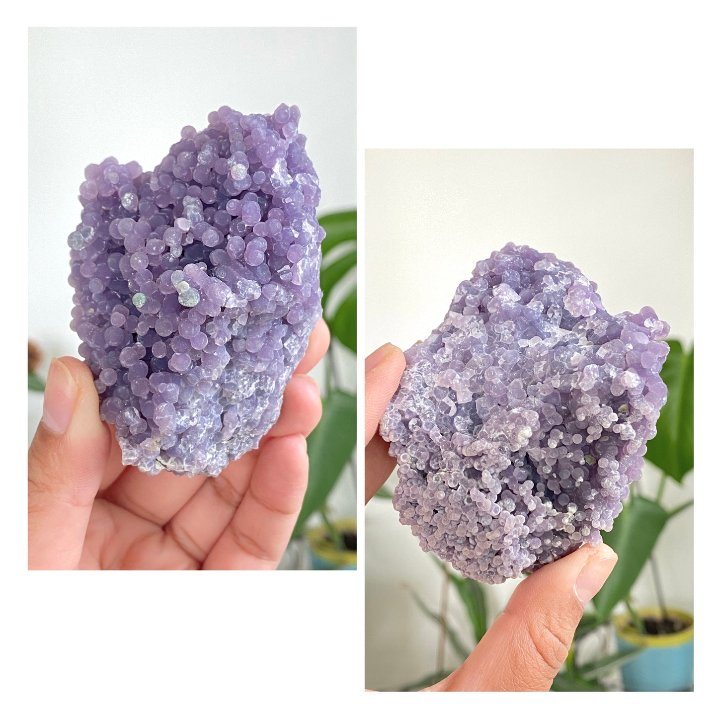 Grape Agate Specimens