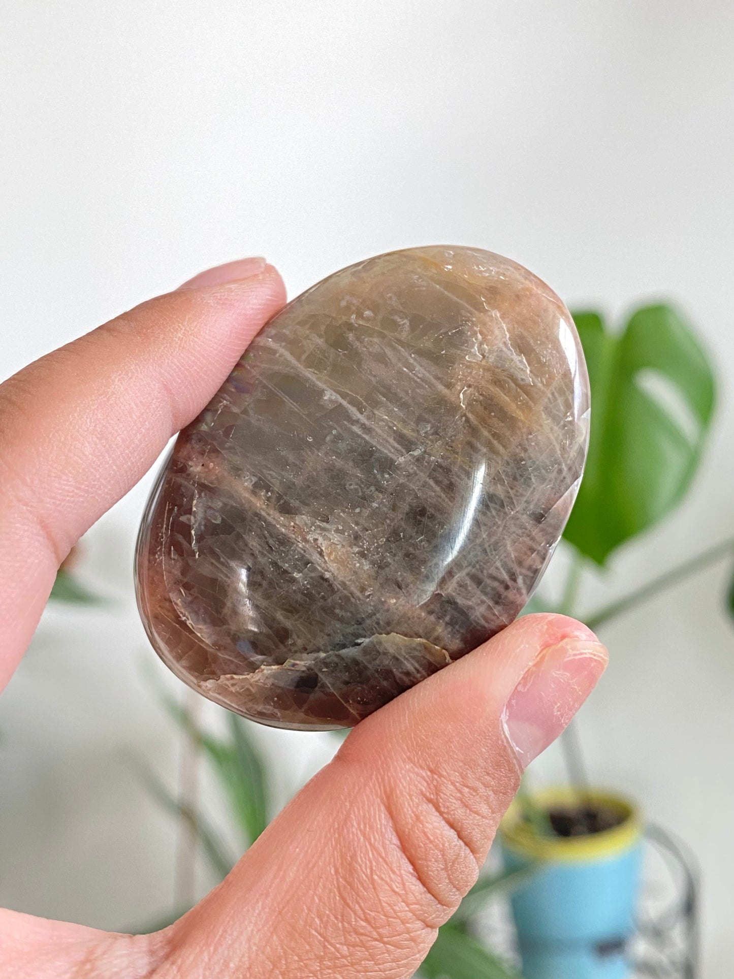 Black Moonstone Palm Stones