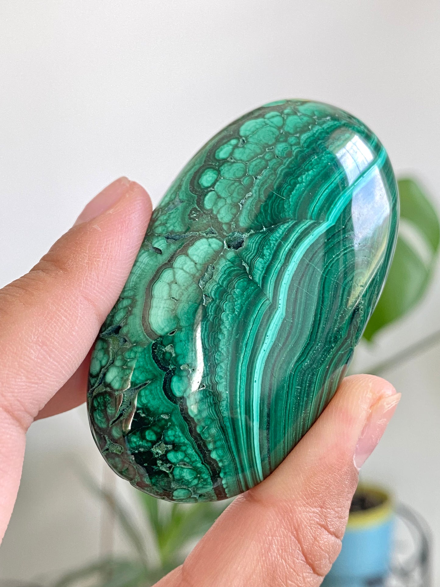 Beautiful Contrast Malachite Palm Stone