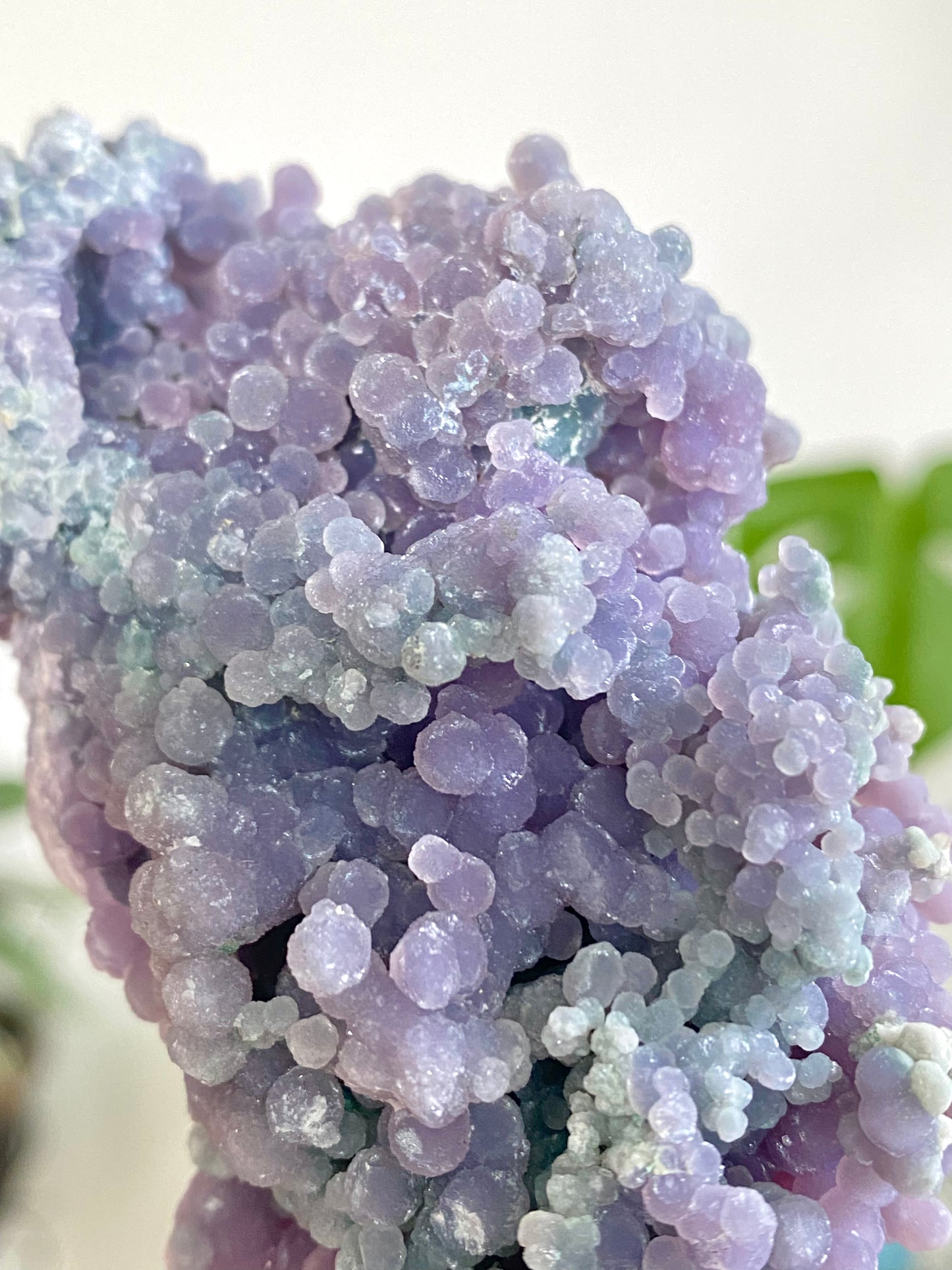 Large Grape Agate Specimen A