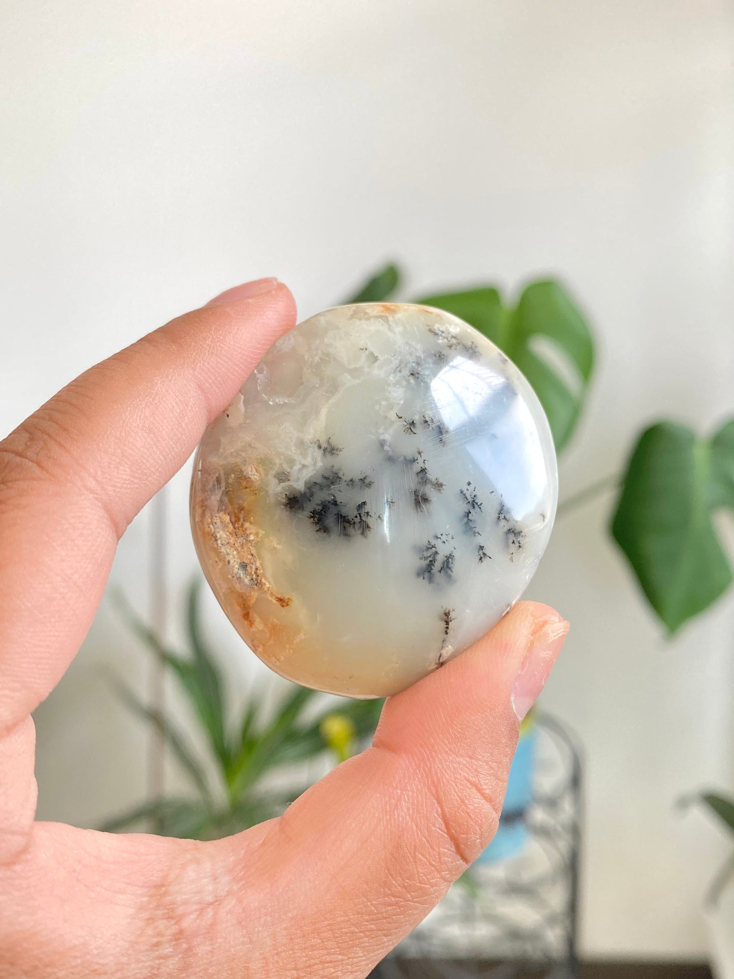 Dendritic Opal Palm Stone B