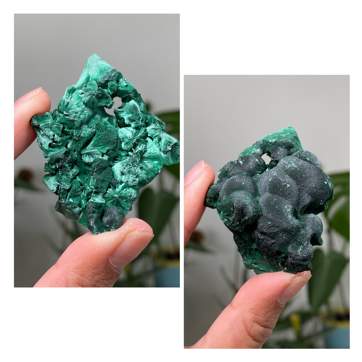 Silky Velvet Malachite Specimens