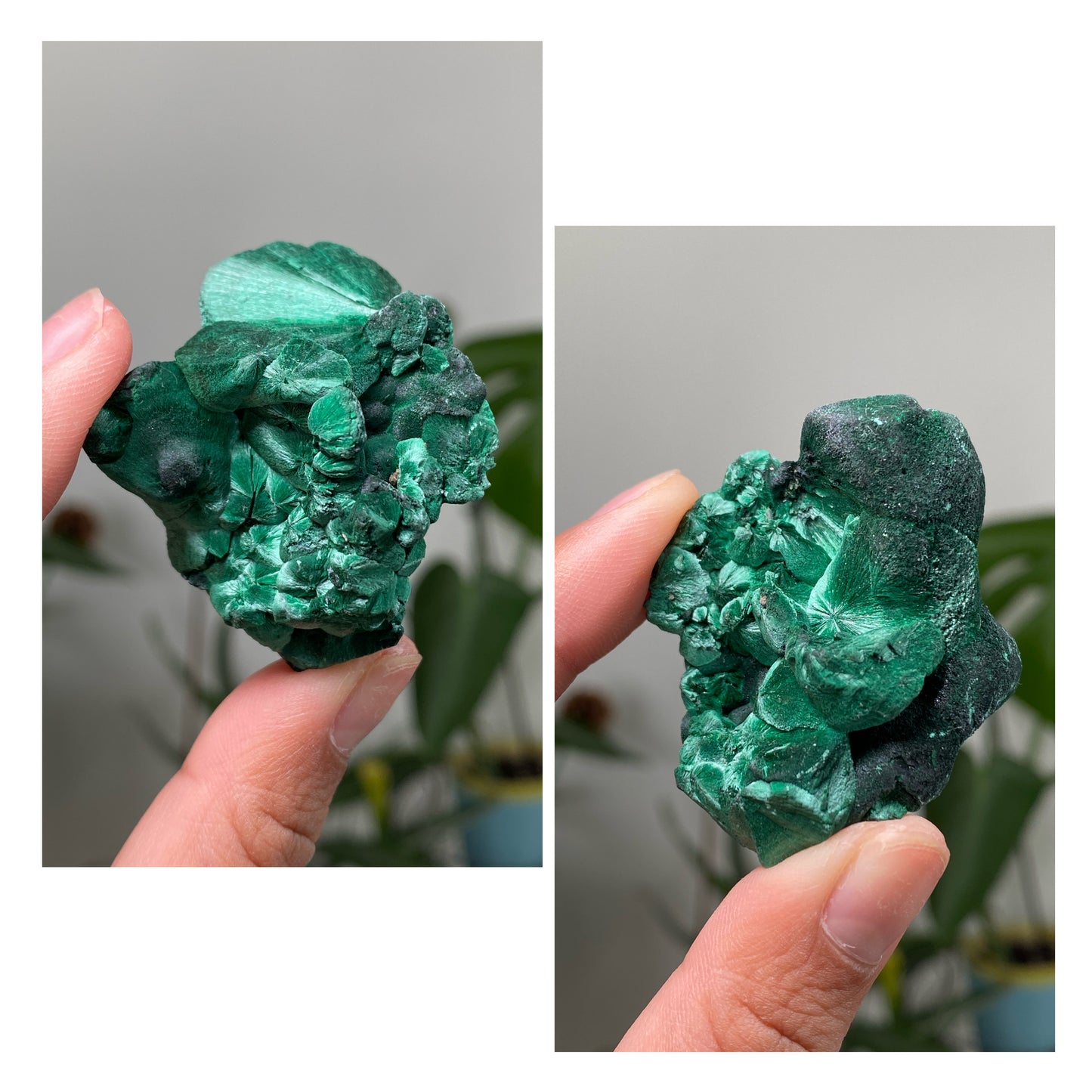 Silky Velvet Malachite Specimens