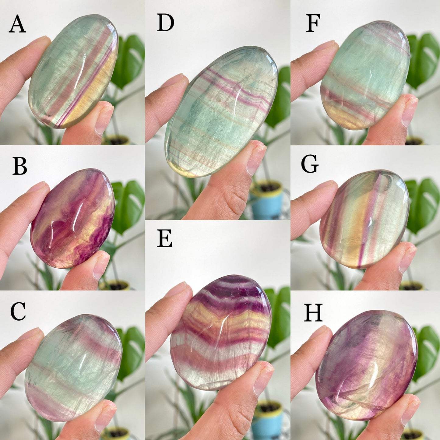 Candy Fluorite Palm Stones