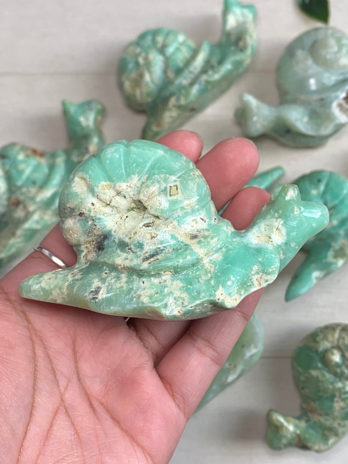 Chrysoprase Snails