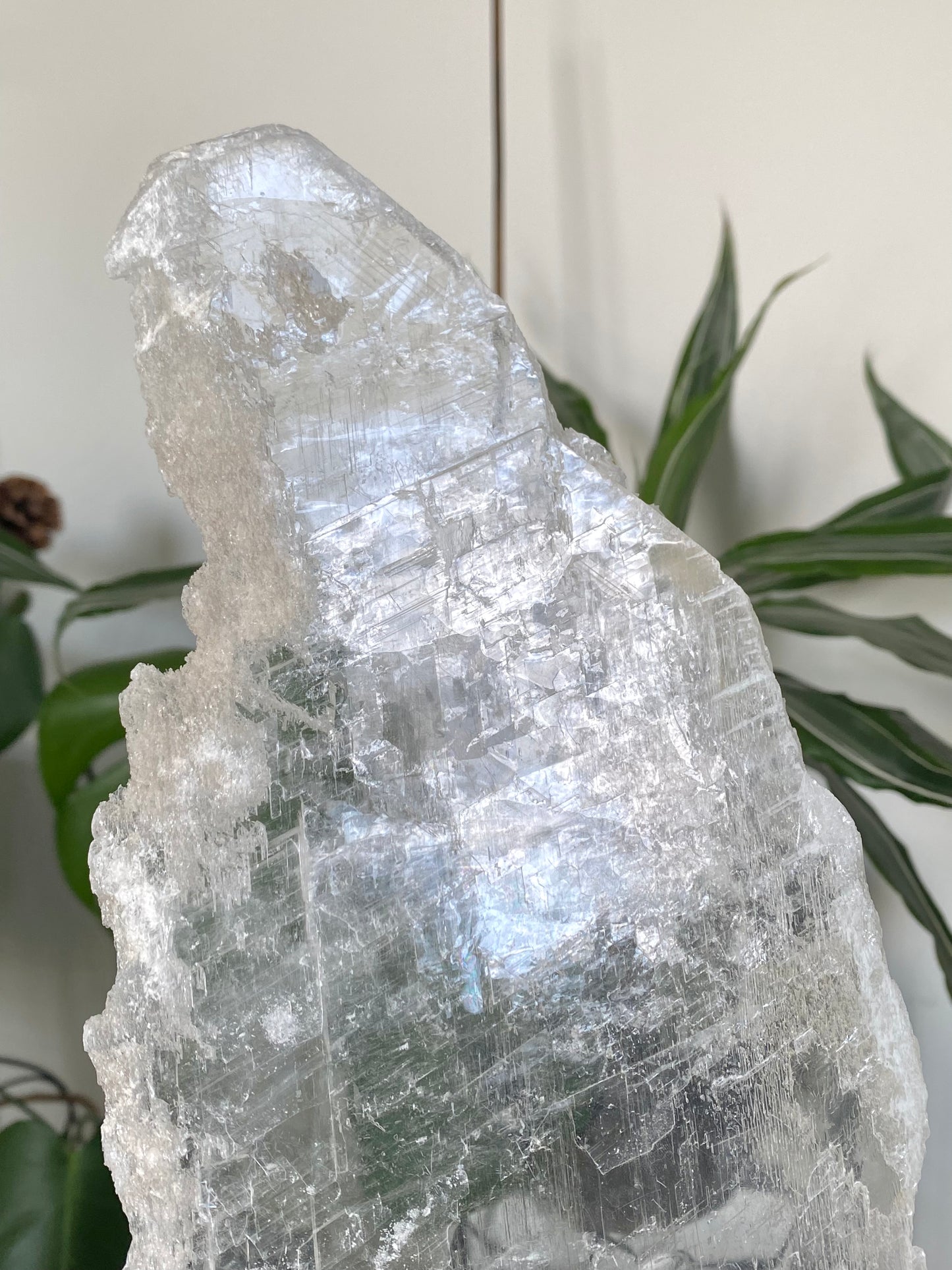 True Selenite Slab B