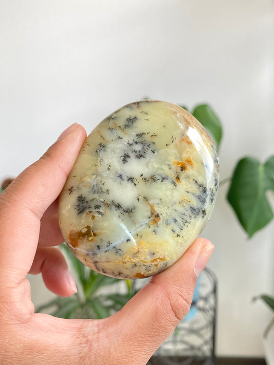 Dendritic Opal Palm Stone A