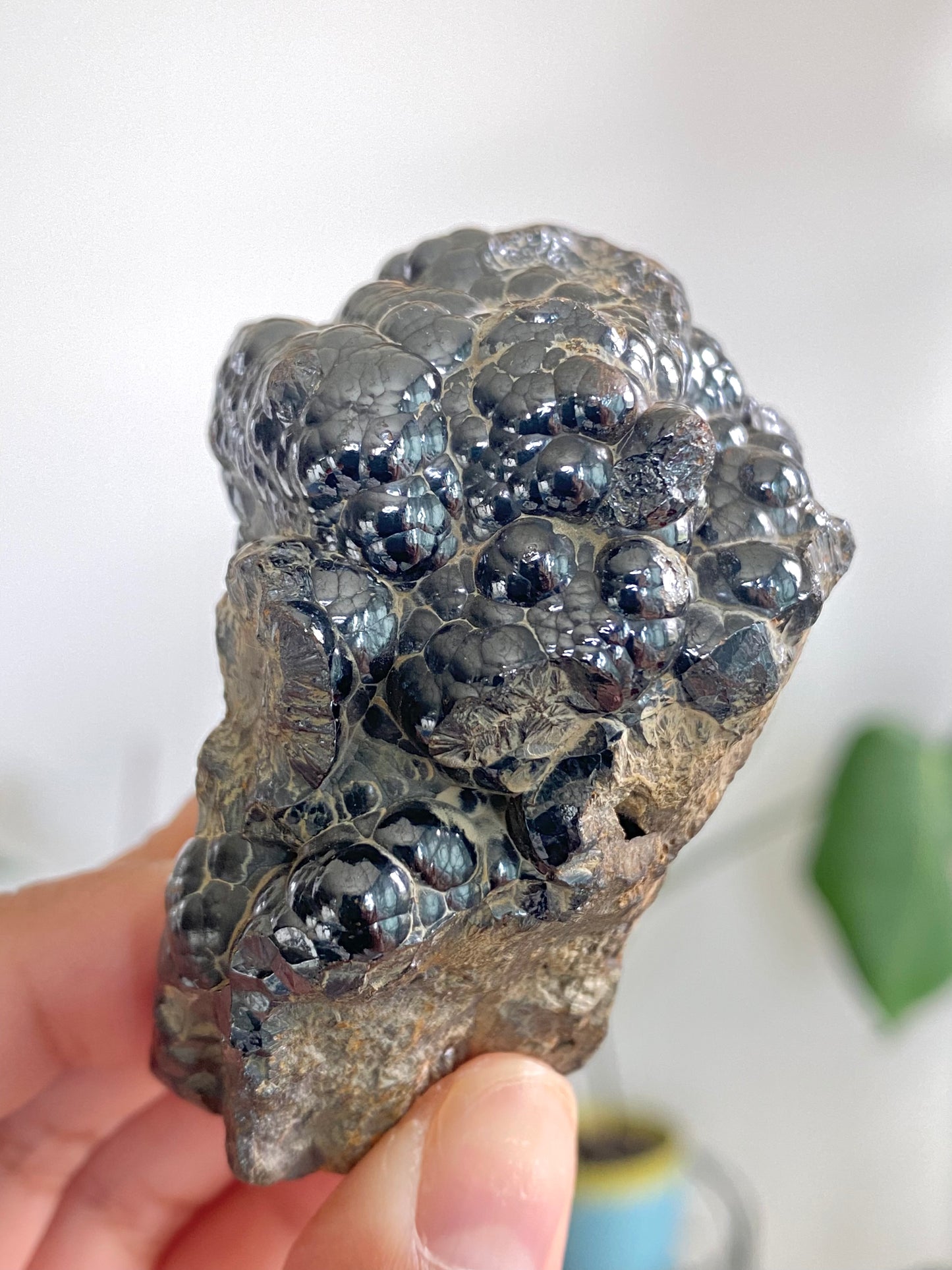 Botryoidal Hematite Specimens