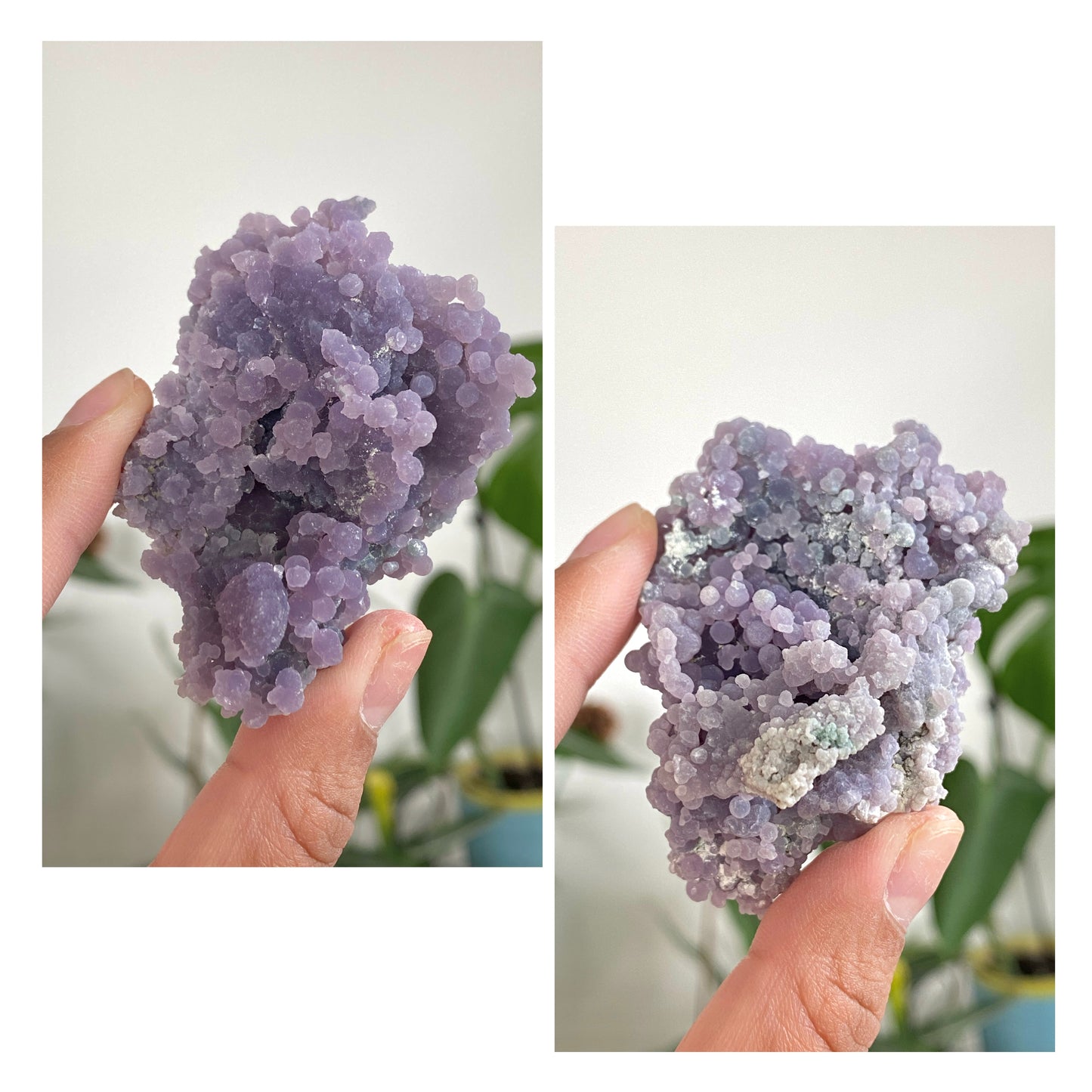 Grape Agate Specimens