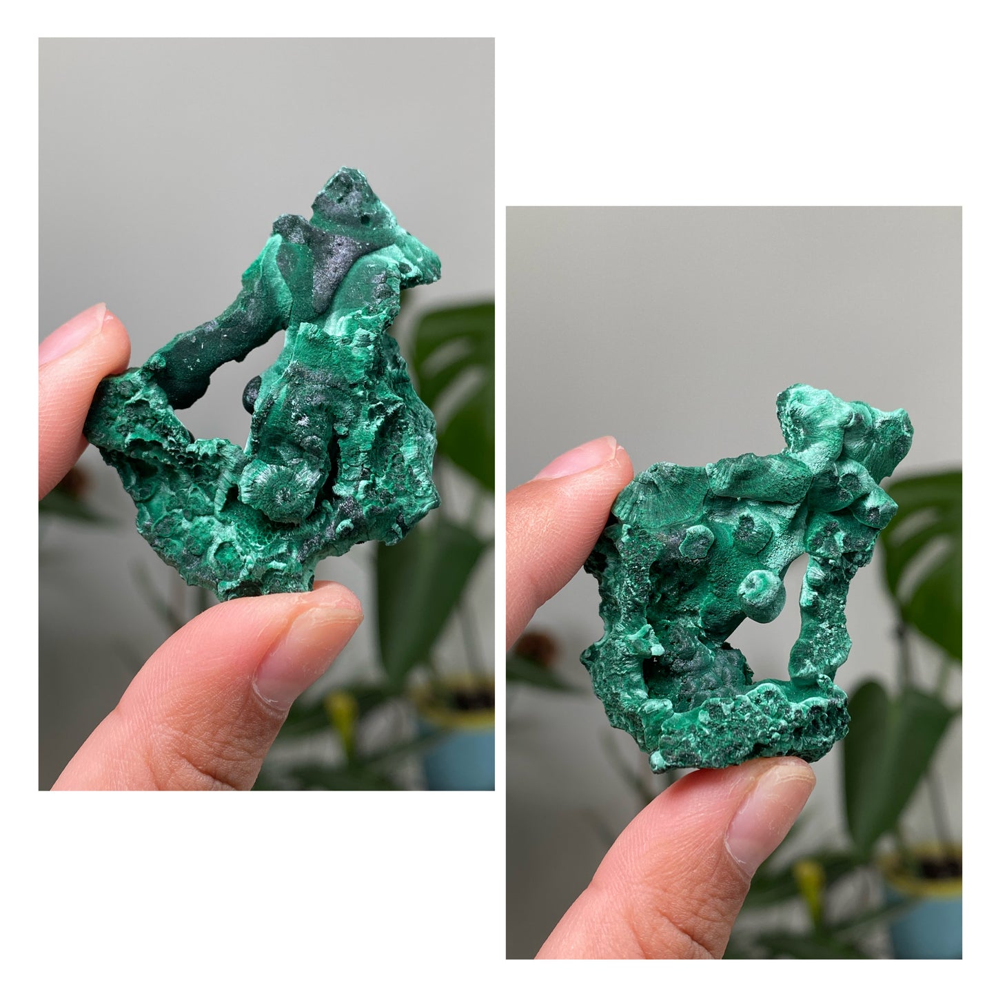 Silky Velvet Malachite Specimens