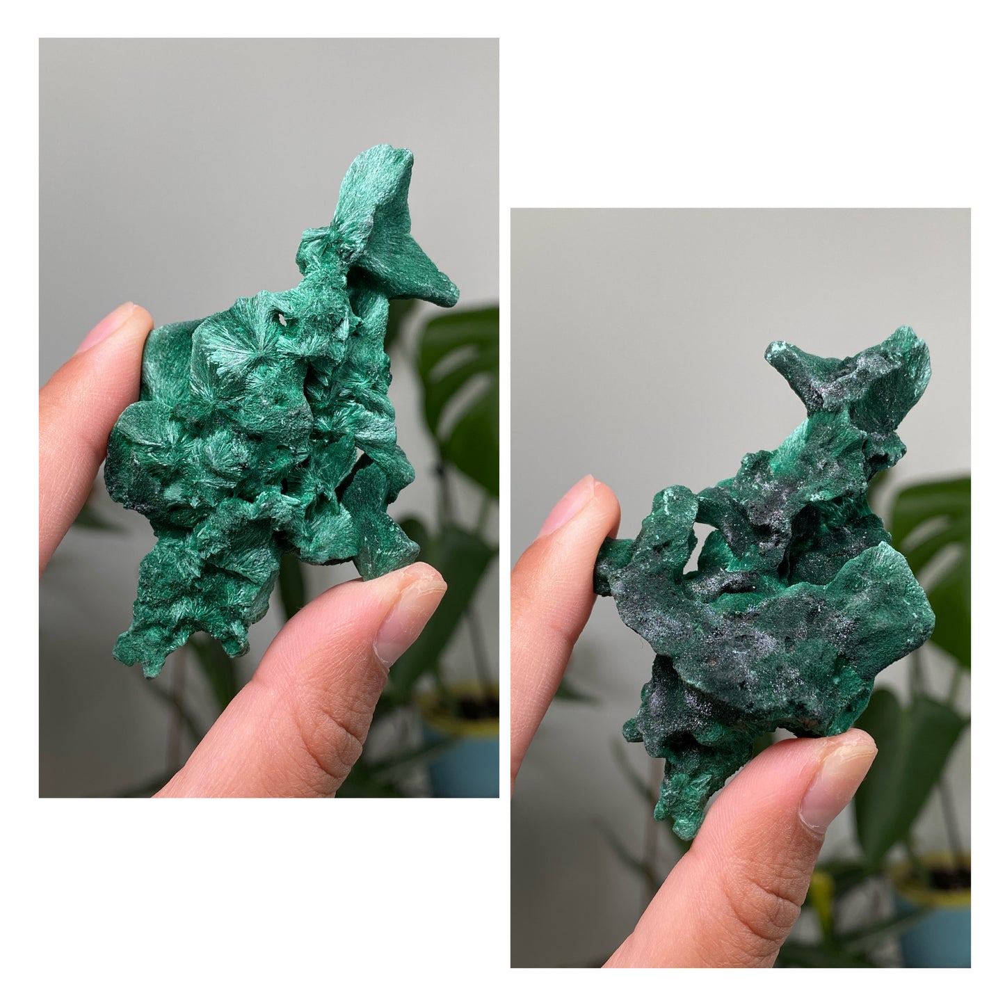 Silky Velvet Malachite Specimens