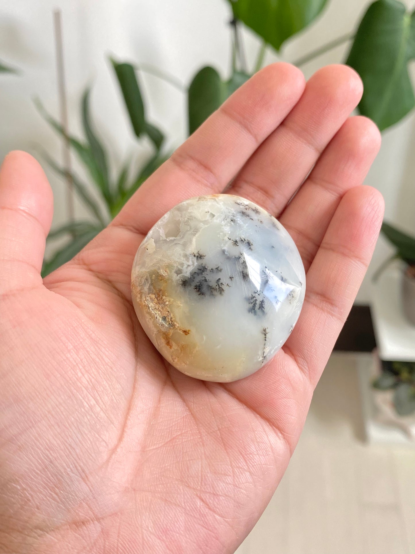 Dendritic Opal Palm Stone B