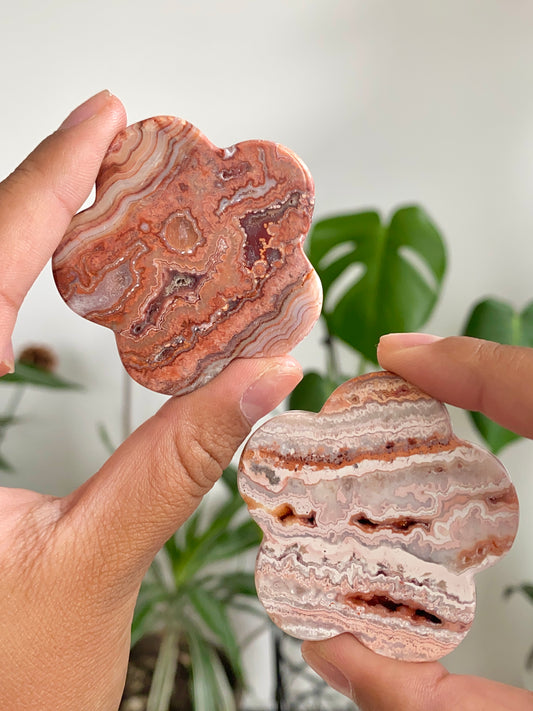 Pink Crazy Lace Agate Flowers