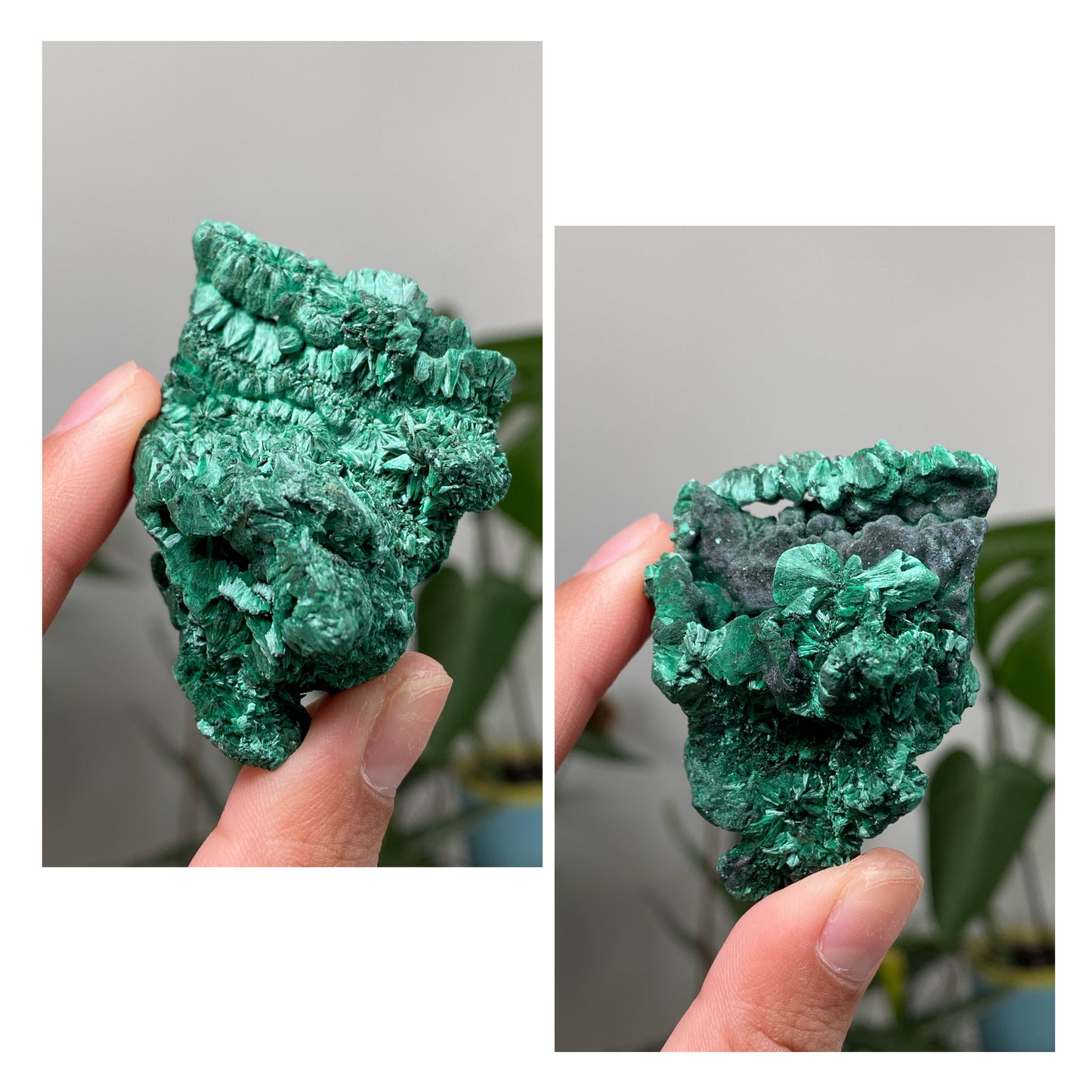 Silky Velvet Malachite Specimens