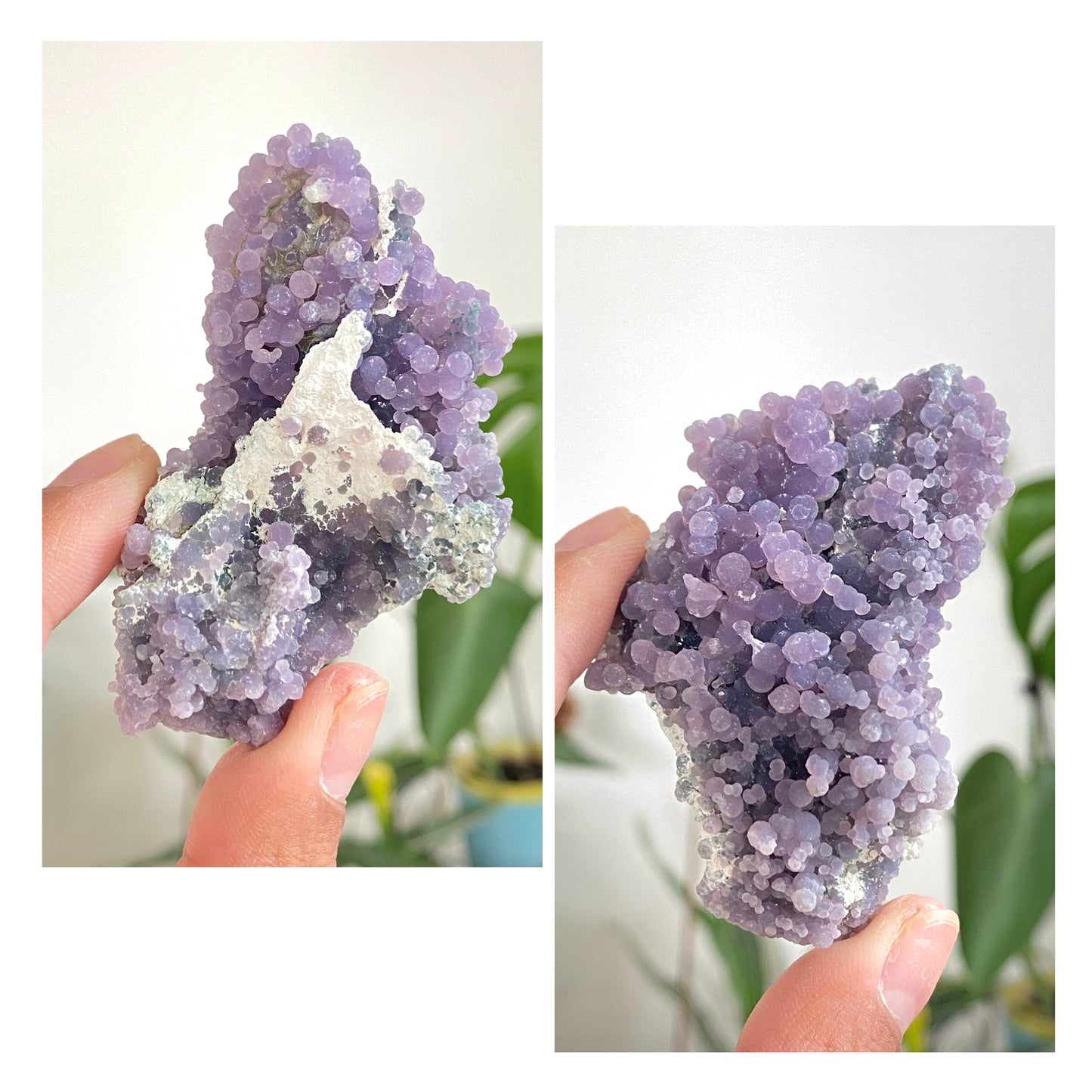 Grape Agate Specimens