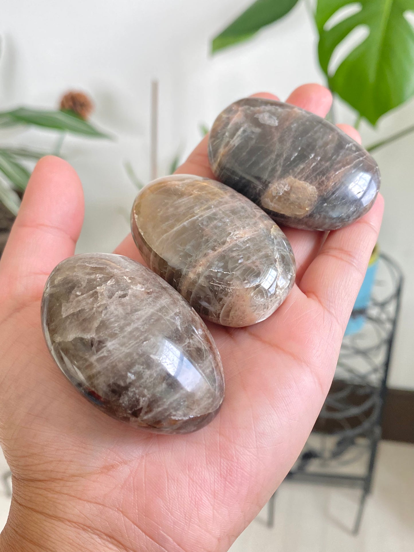 Black Moonstone Palm Stones