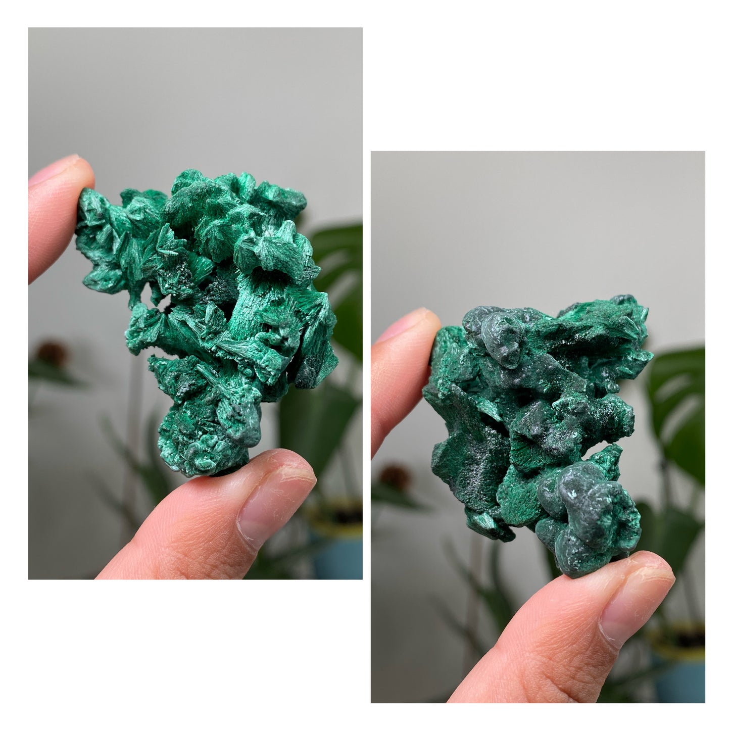 Silky Velvet Malachite Specimens