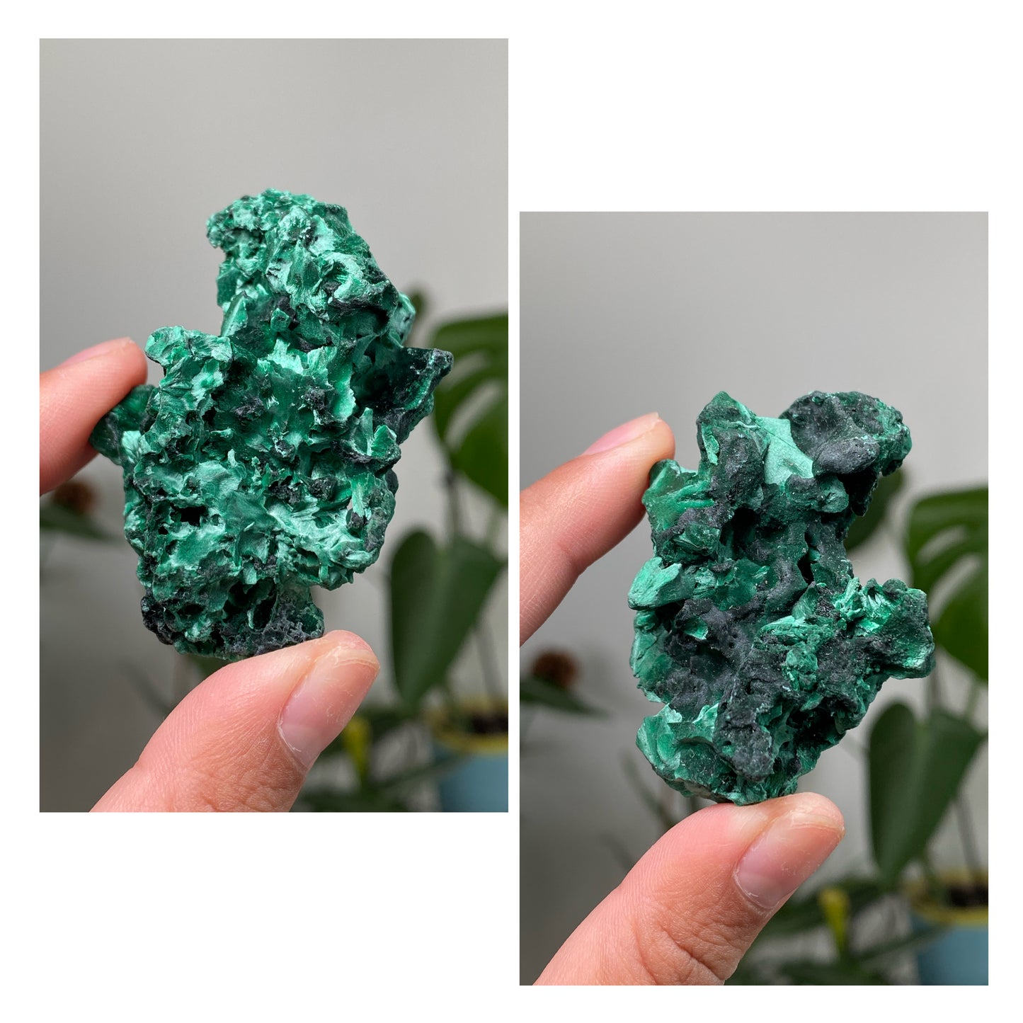 Silky Velvet Malachite Specimens