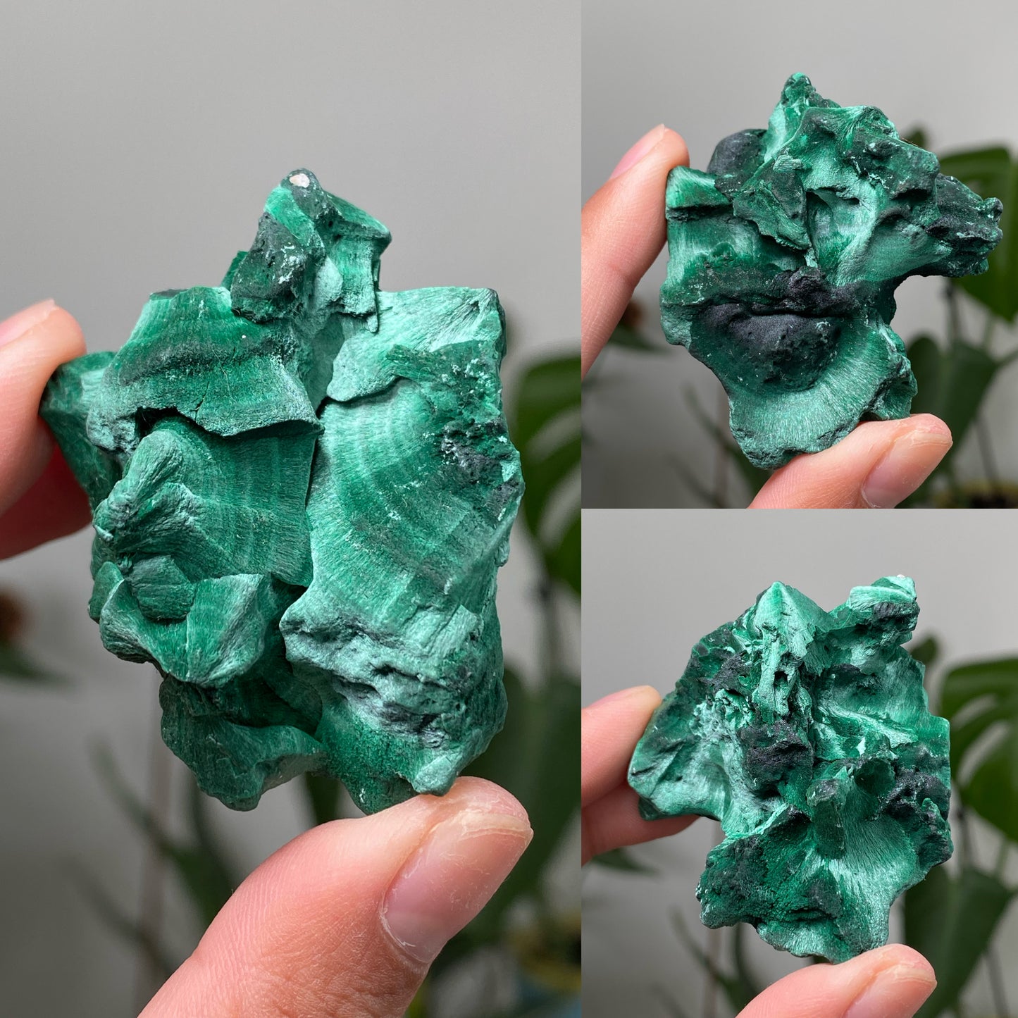 Silky Velvet Malachite Specimens