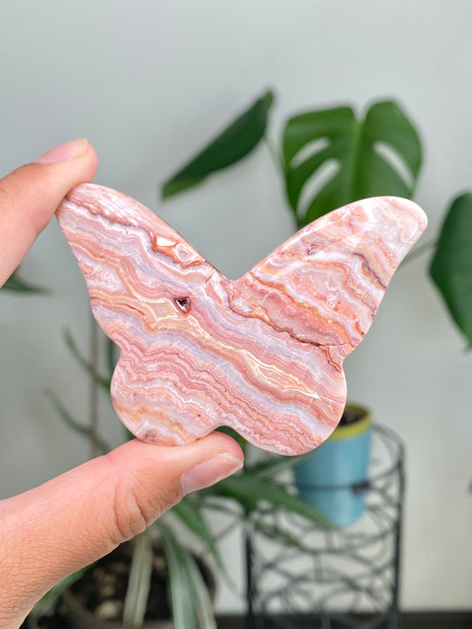 Pink Crazy Lace Agate Butterflies