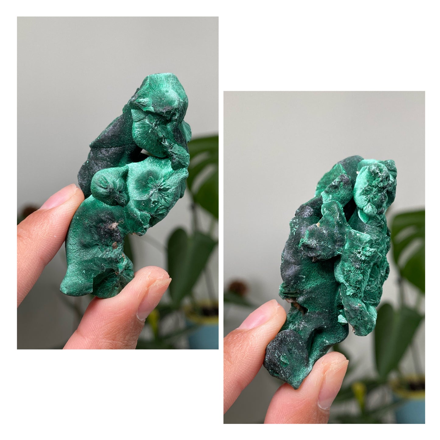 Silky Velvet Malachite Specimens