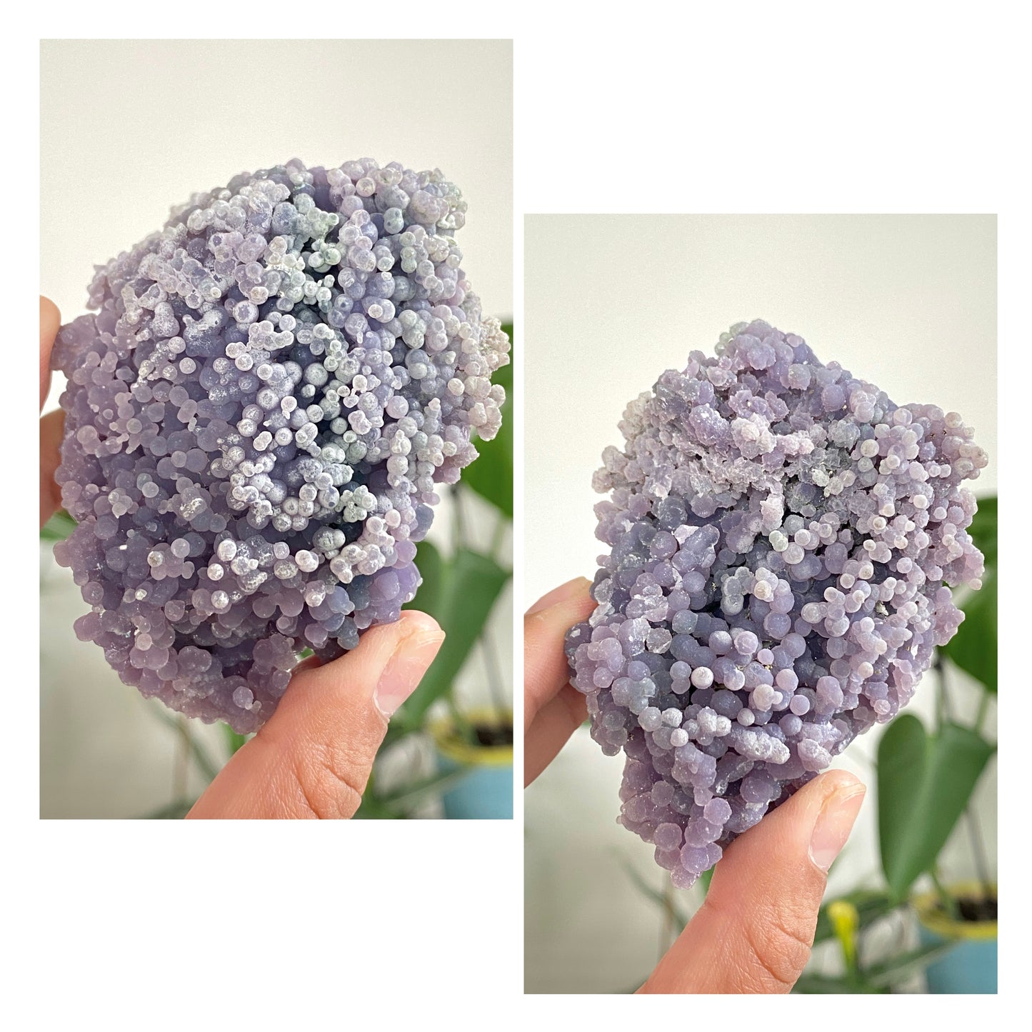 Grape Agate Specimens