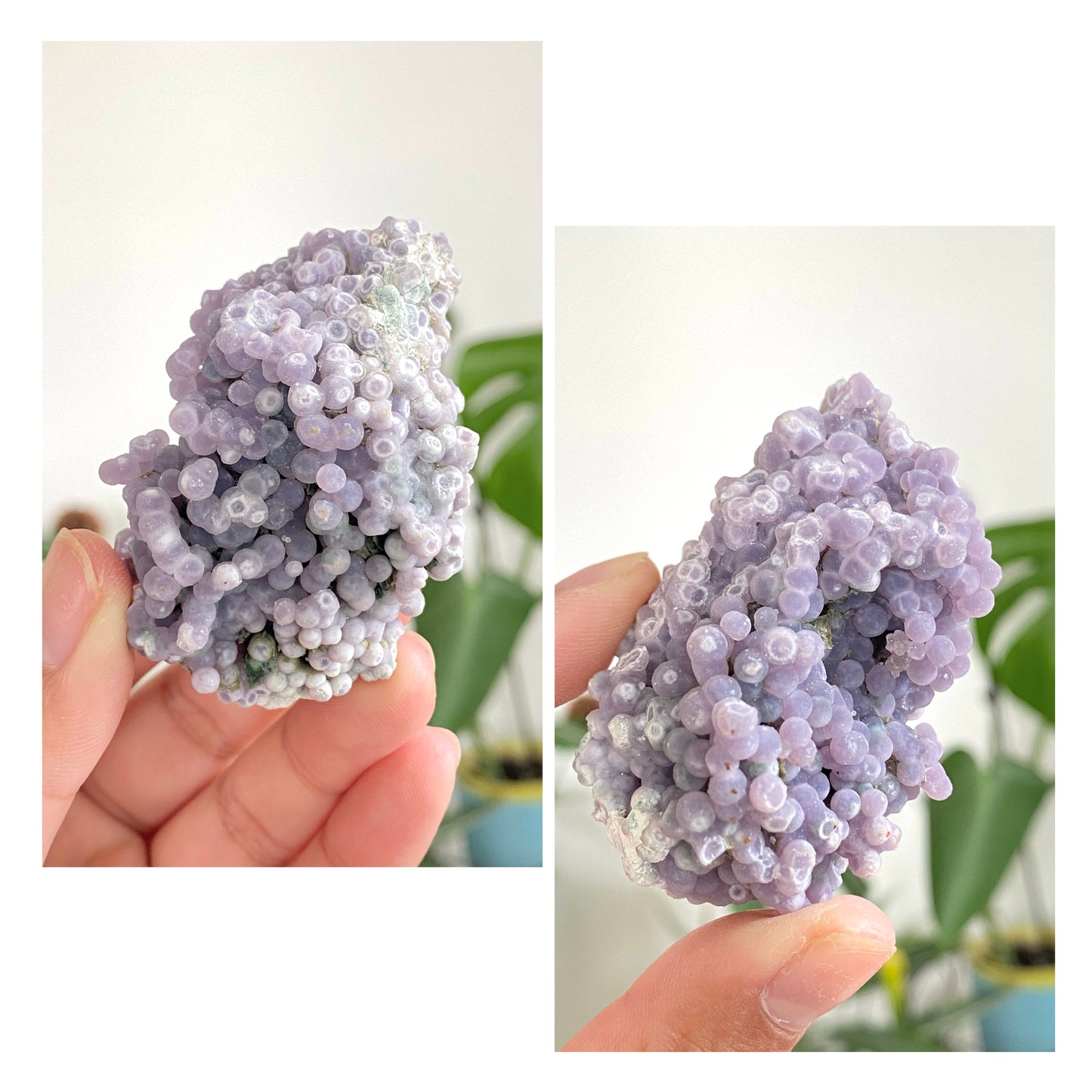 Grape Agate Specimens