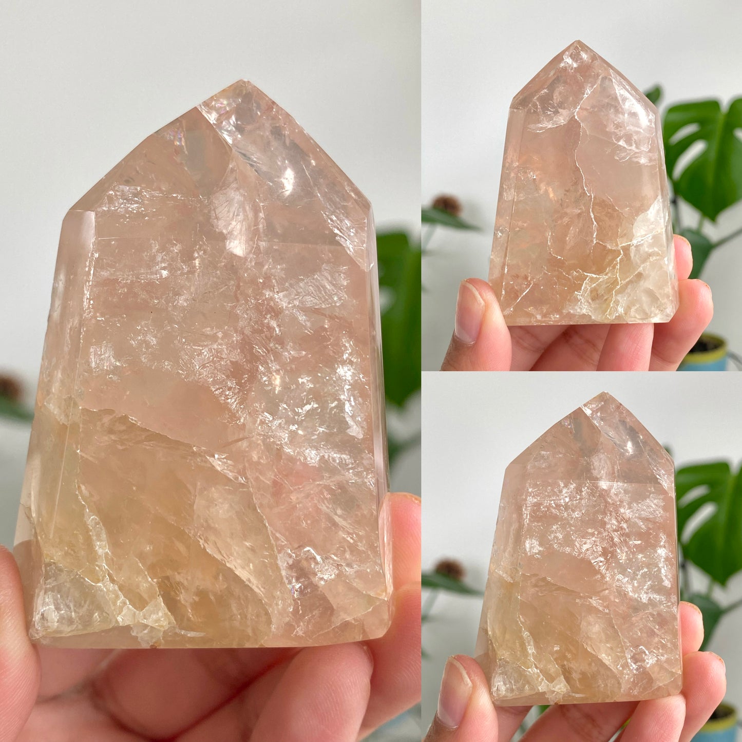 Rose Quartz x Golden Healer Quartz Towers