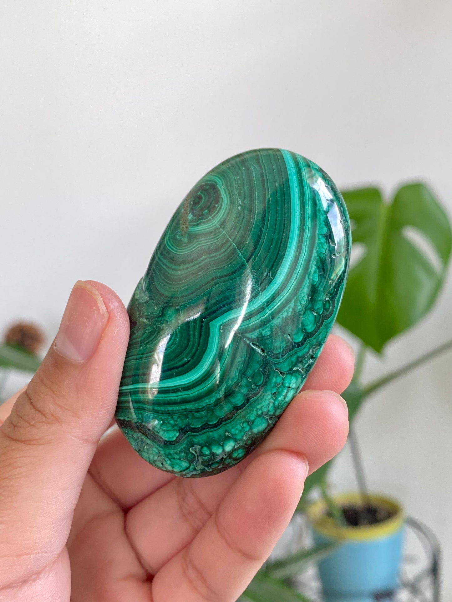 Beautiful Contrast Malachite Palm Stone