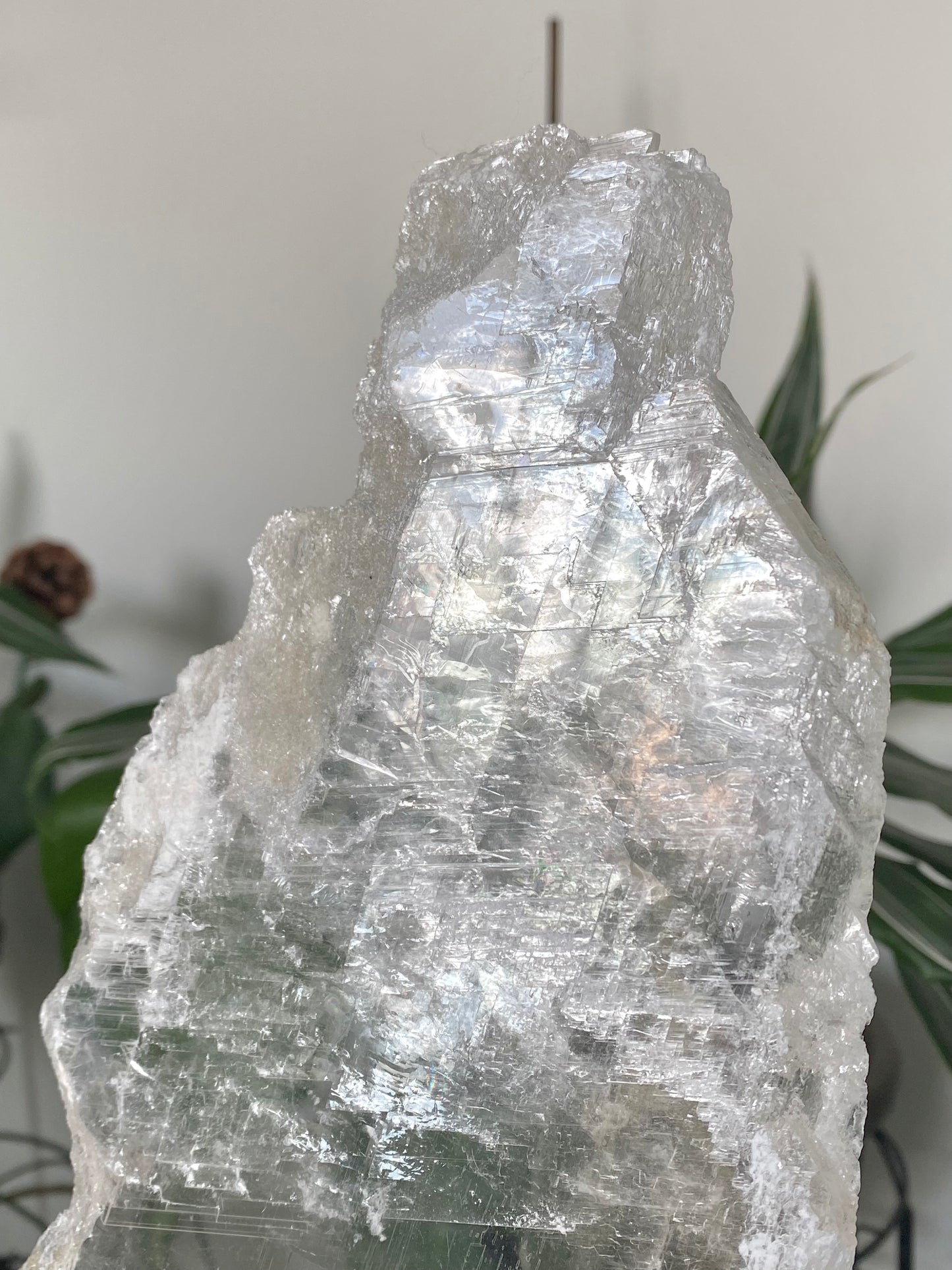 True Selenite Slab A