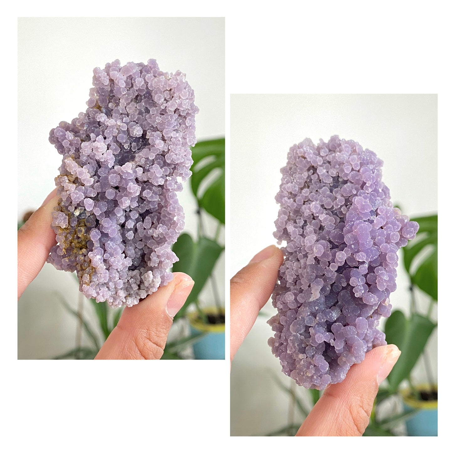 Grape Agate Specimens