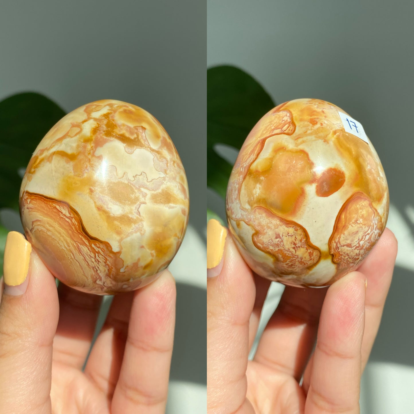 Polychrome Jasper Palm Stones