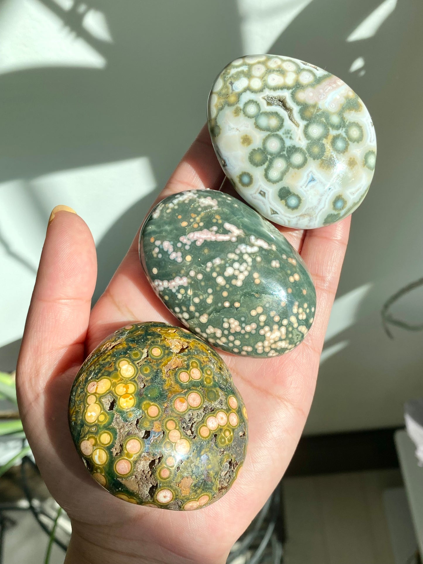 Orbicular Jasper Palm Stones