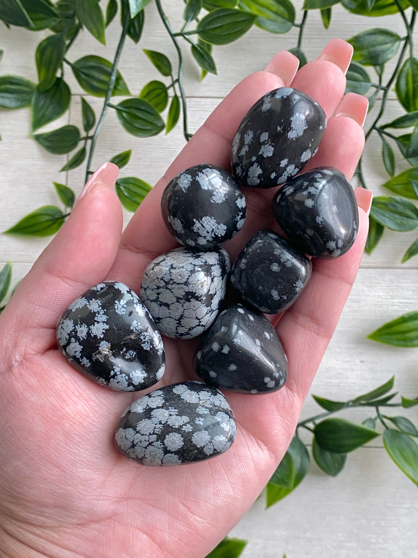 Snowflake Obsidian Tumbles