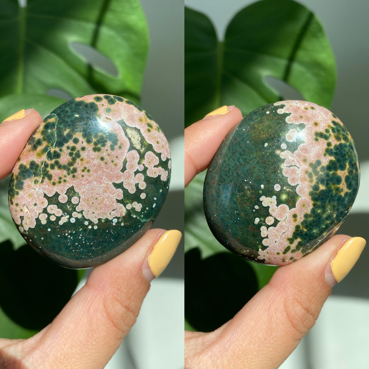 Orbicular Jasper Palm Stones