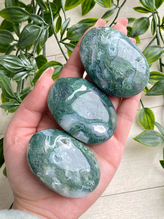 Moss Agate Palm Stones