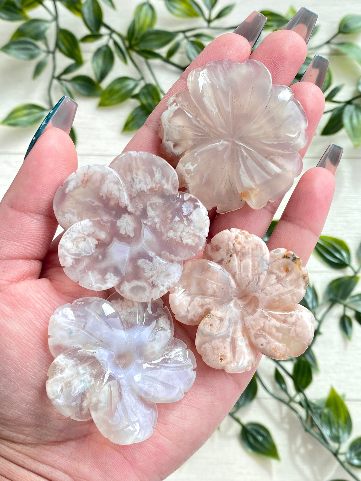 Flower Agate Flowers