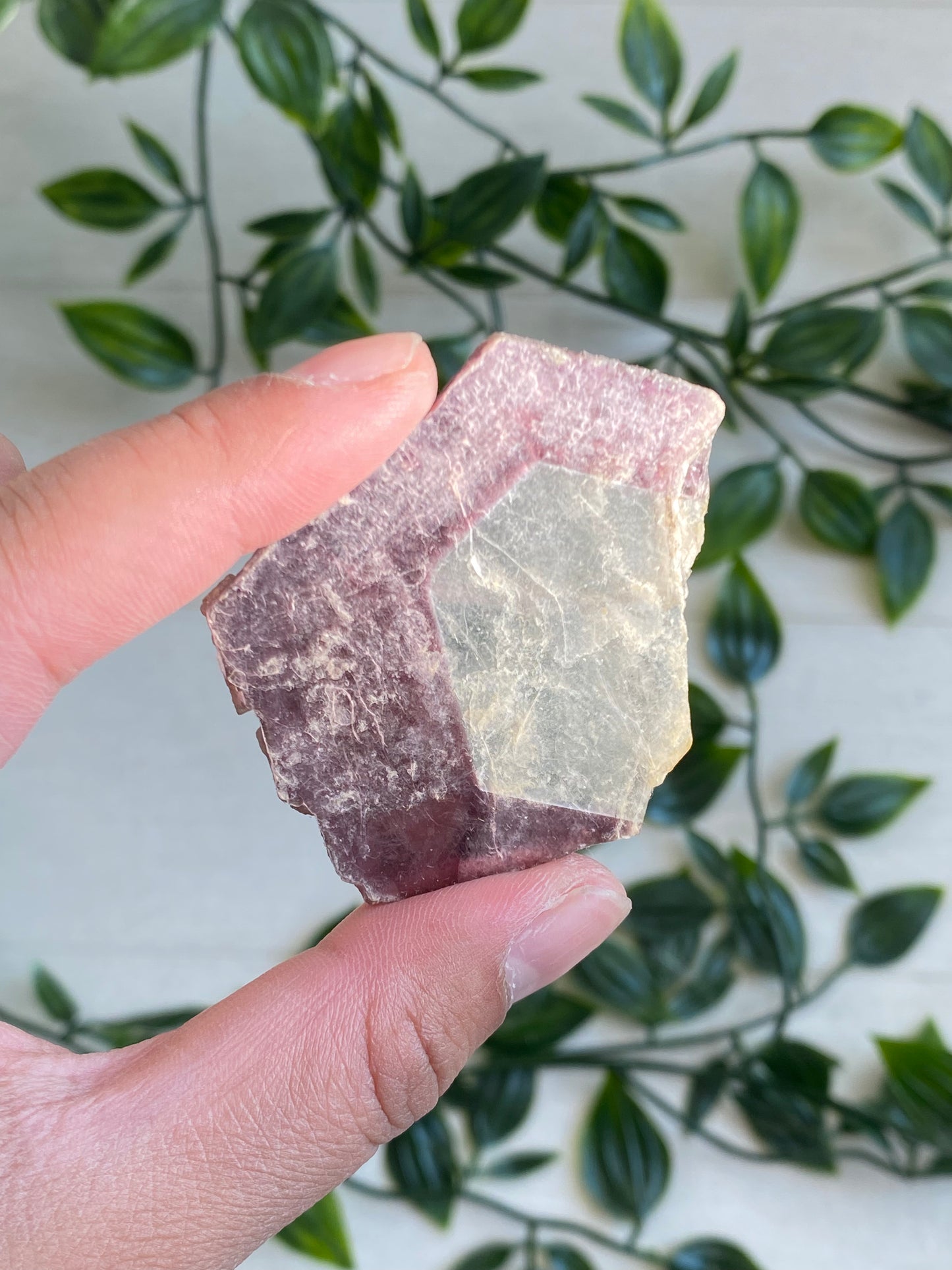 Bi-color Lepidolite Slabs