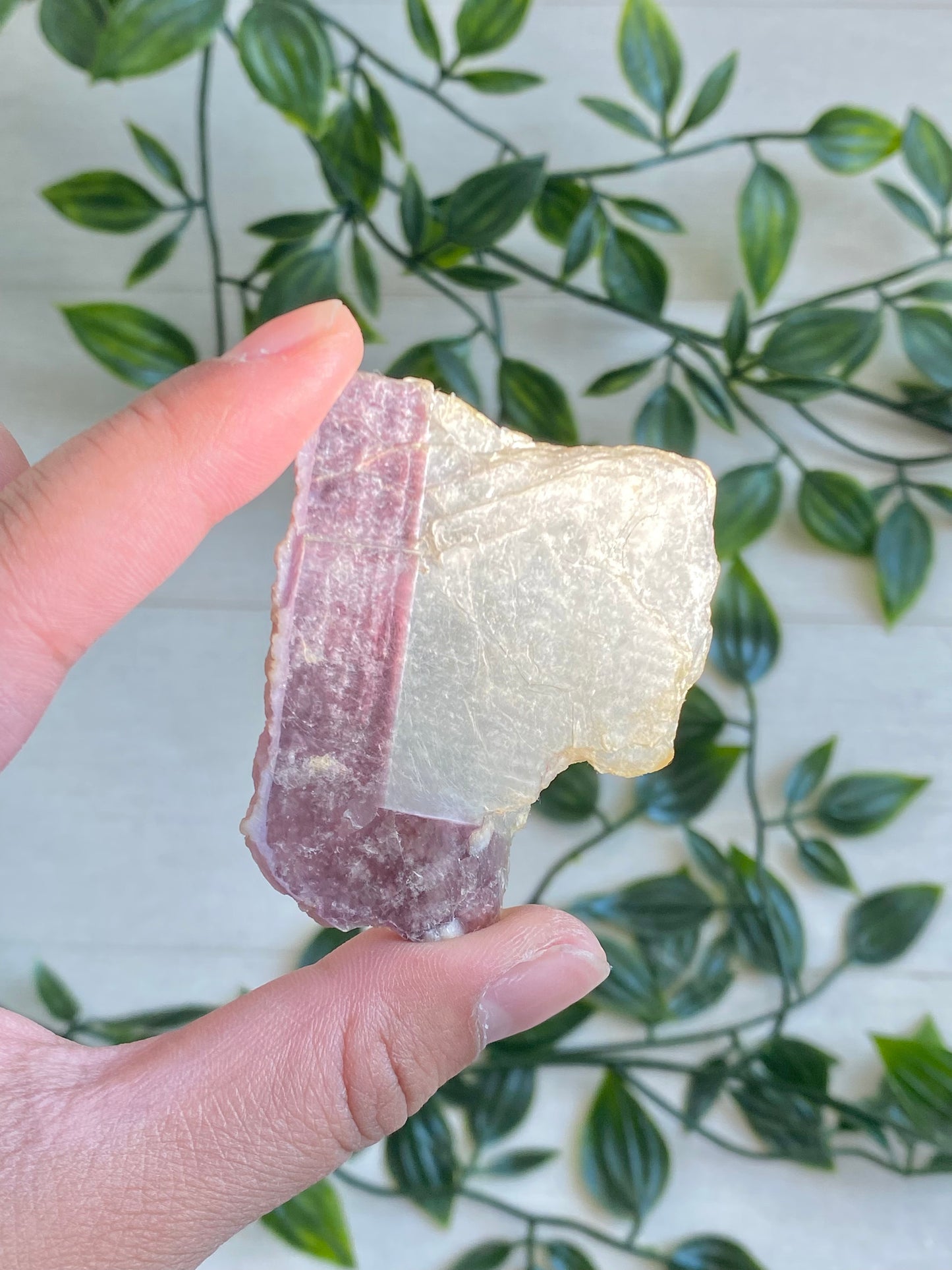 Bi-color Lepidolite Slabs