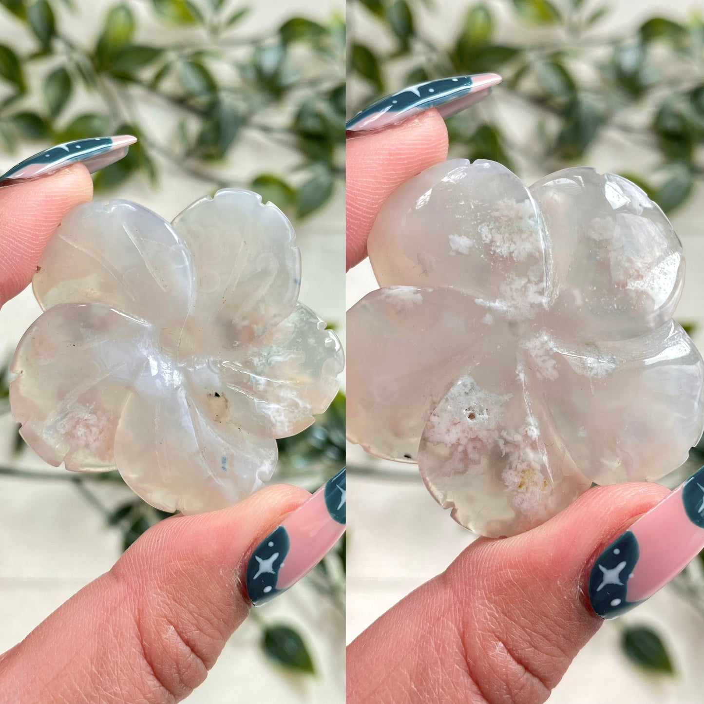 Flower Agate Flowers