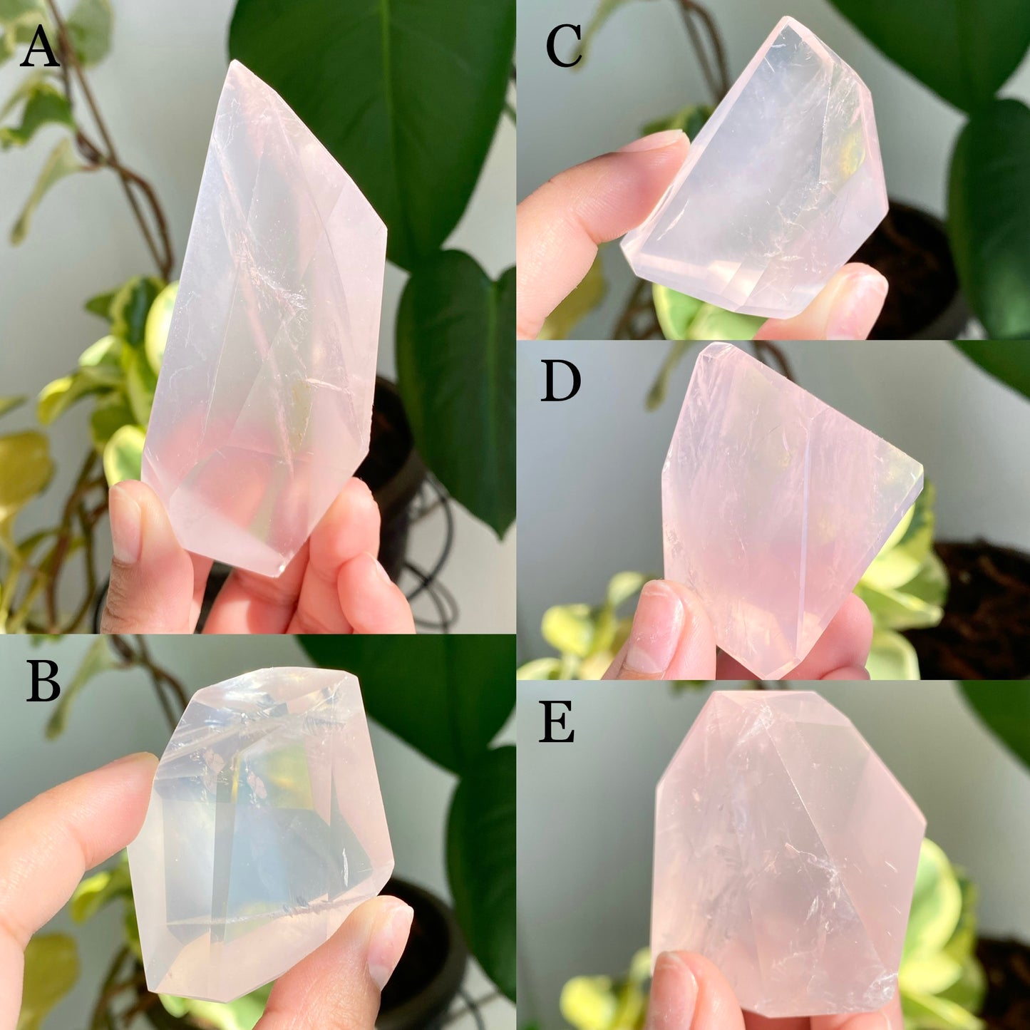 GEMMY Mozambique Rose Quartz Freeforms