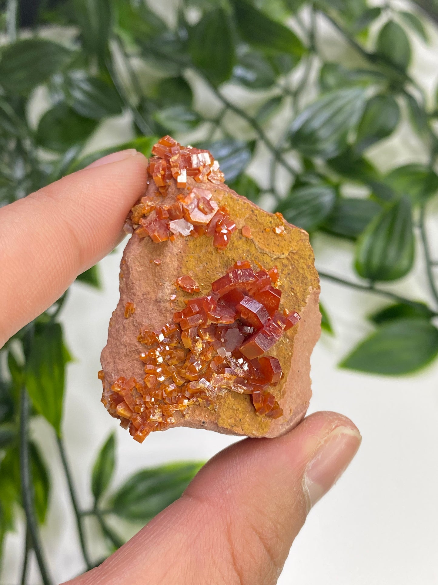 Vanadinite Specimens