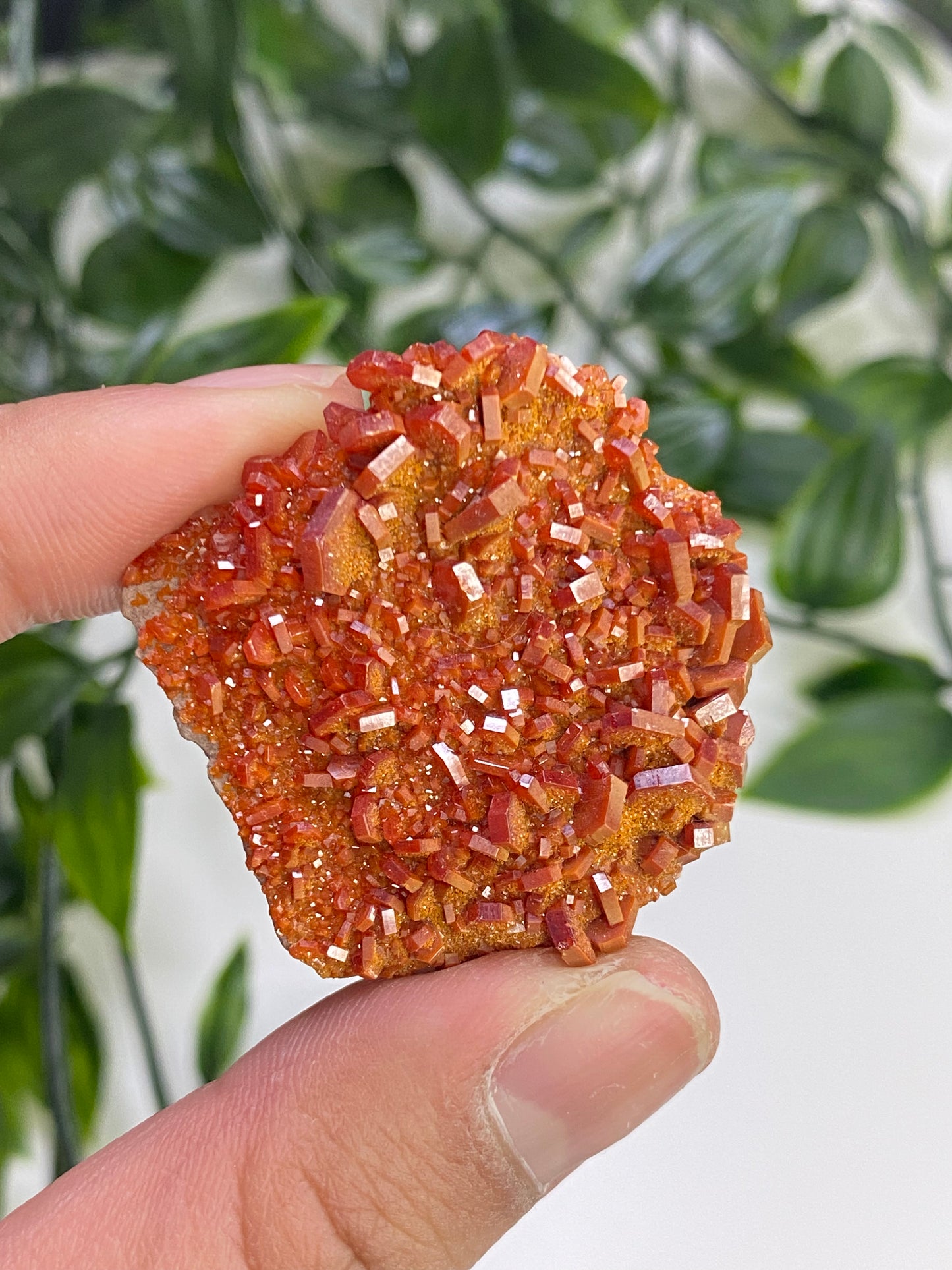 Vanadinite Specimens