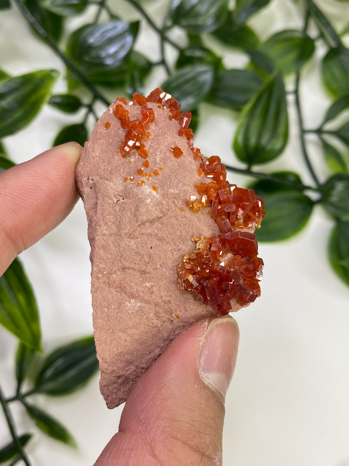 Vanadinite Specimens