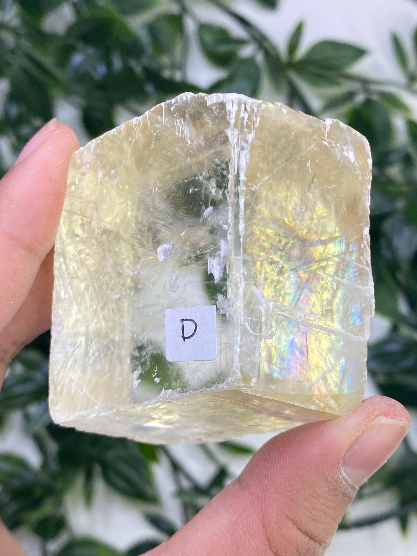 Raw Honey Optical Calcite Cubes