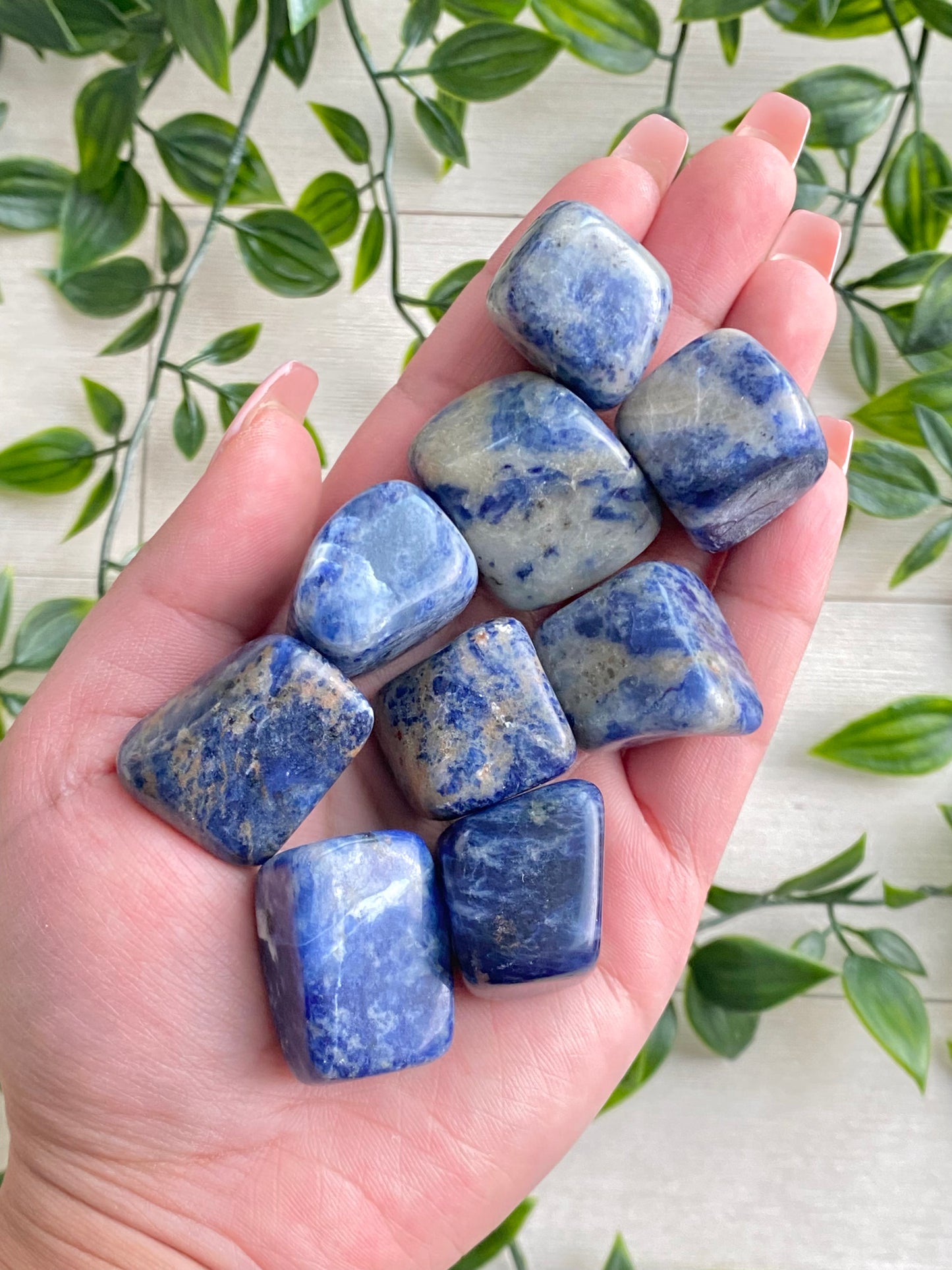 Sodalite Tumbles