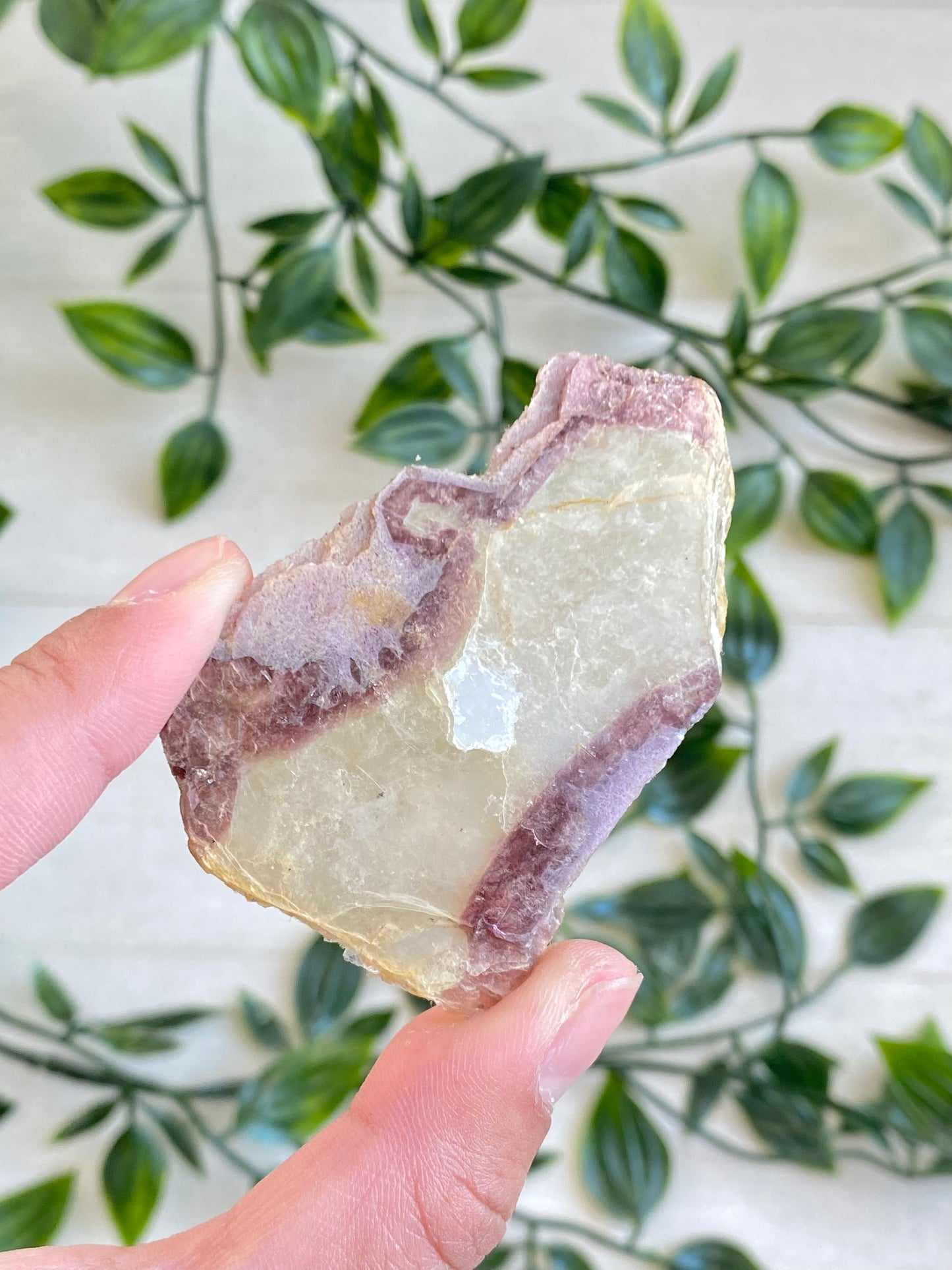 Bi-color Lepidolite Slabs