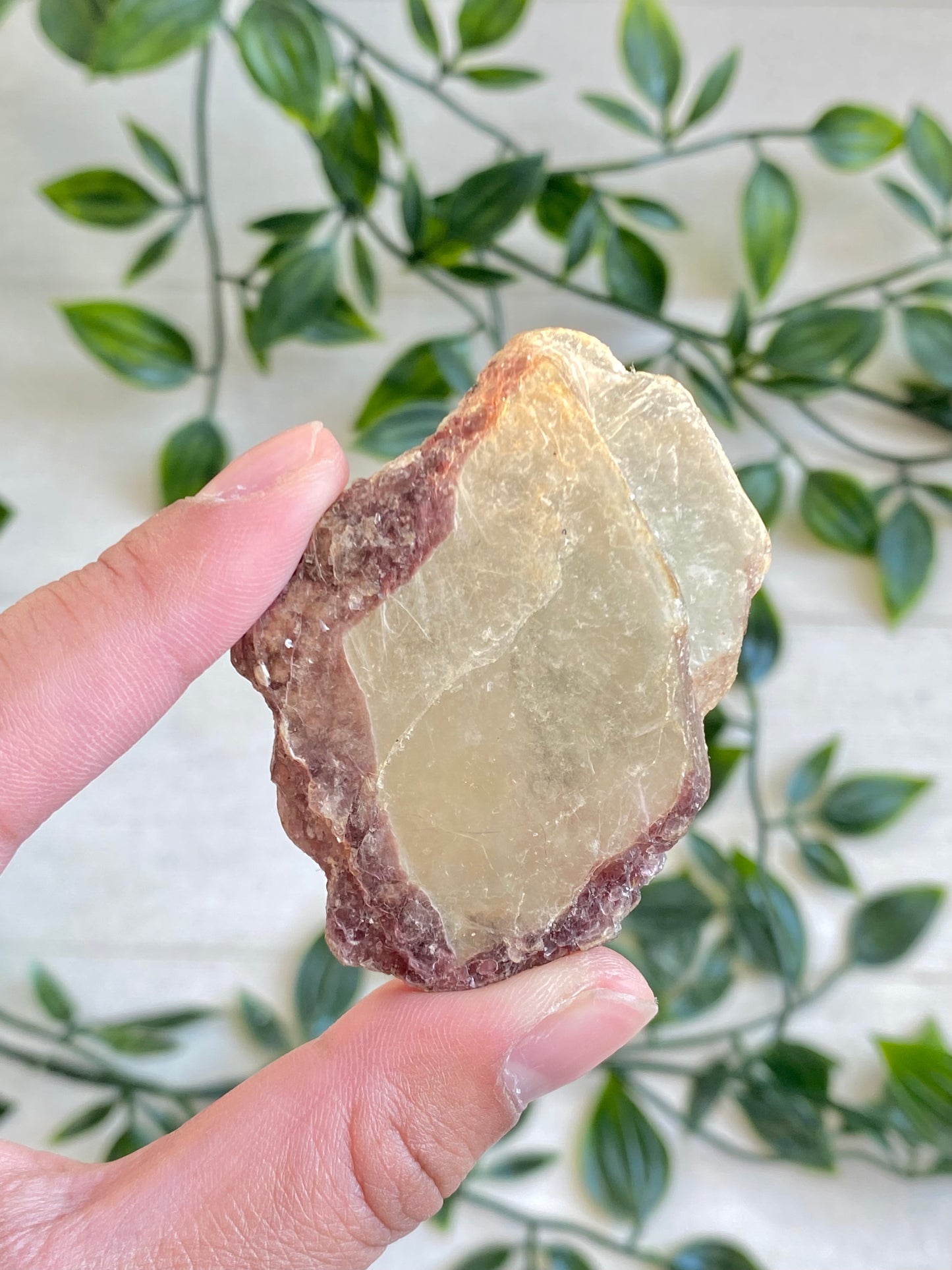 Bi-color Lepidolite Slabs