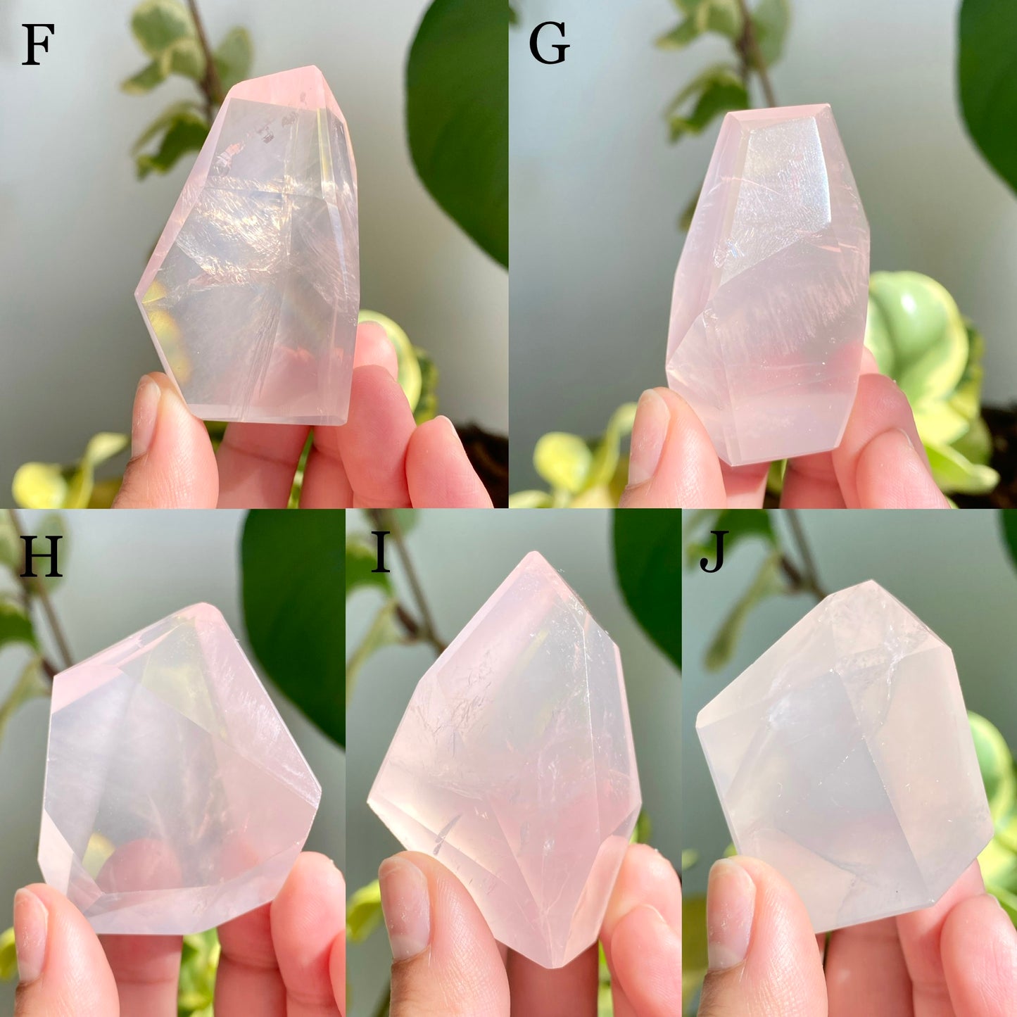 GEMMY Mozambique Rose Quartz Freeforms